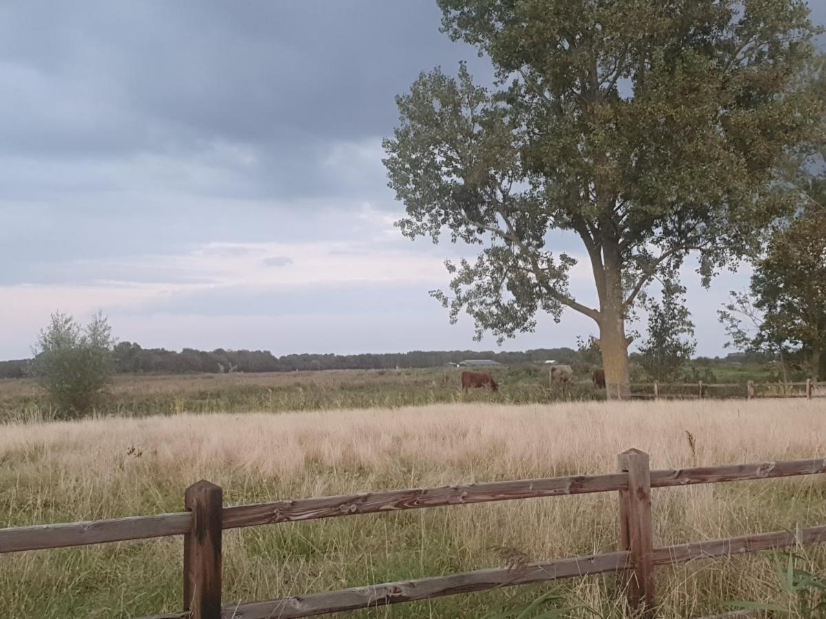 Cottage Geestmerambacht, Een Nieuw Vrijstaande Sfeervol En Landelijk Gelegen Vakantiewoning Koedijk Екстер'єр фото